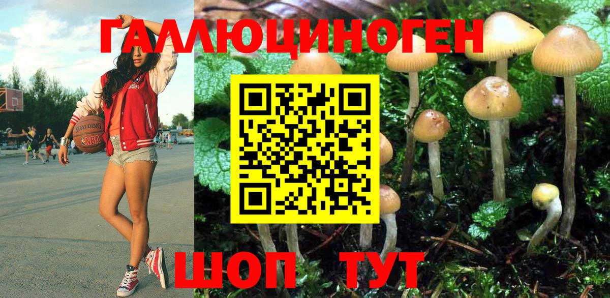 хочу наркоту  Галлюциногенные грибы Psilocybine cubensis  Псилоцибиновые грибы мицелий  Вход с VPN  Будённовск 